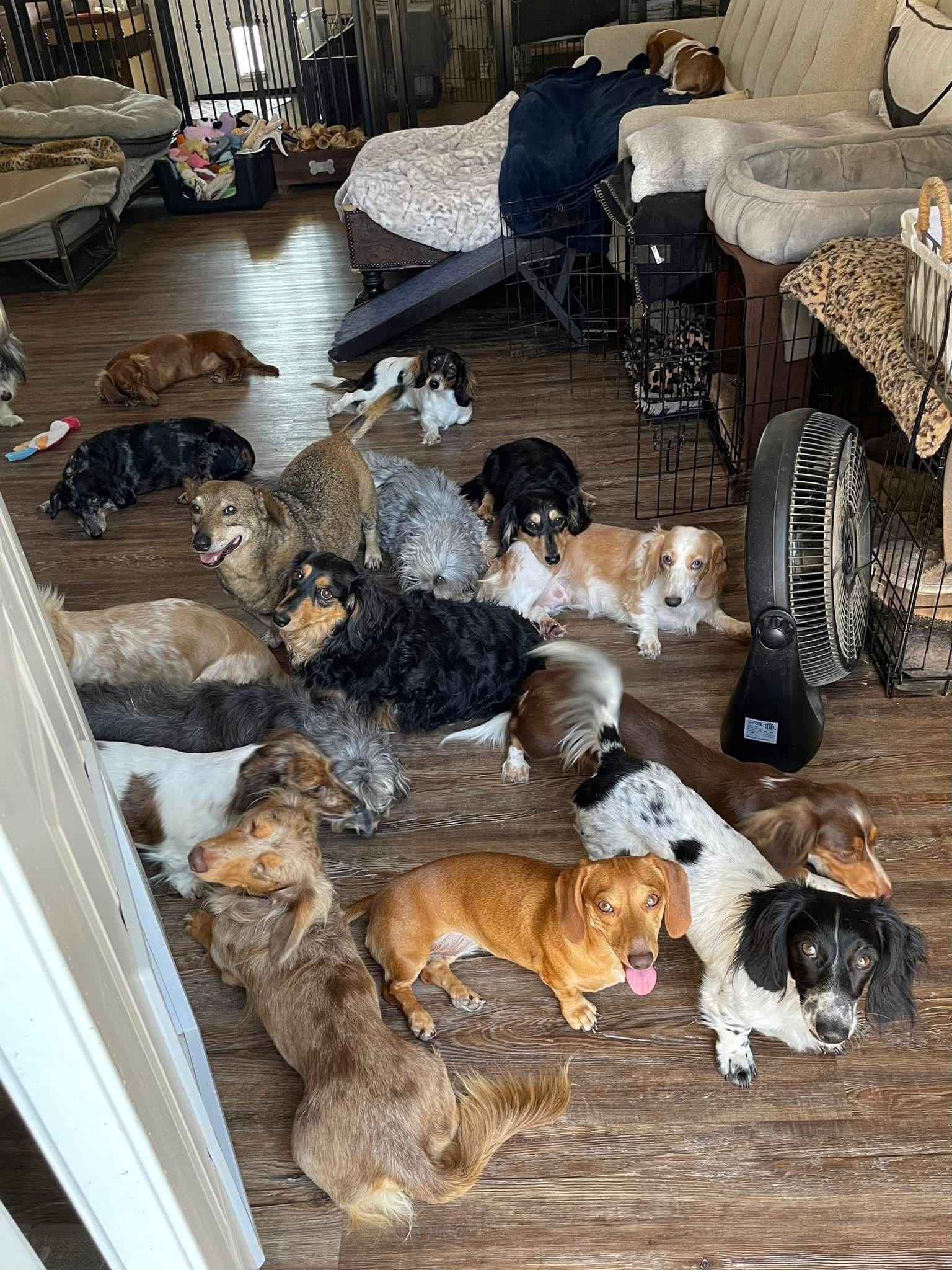 A Family-Centered Home