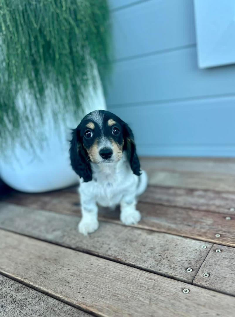 Noosa